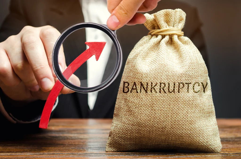 What Is the Automatic Stay in Bankruptcy and What Does It Stop?