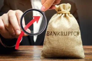 What Is the Automatic Stay in Bankruptcy and What Does It Stop?